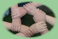 Viele Hände unterstützen sich gegenseitig